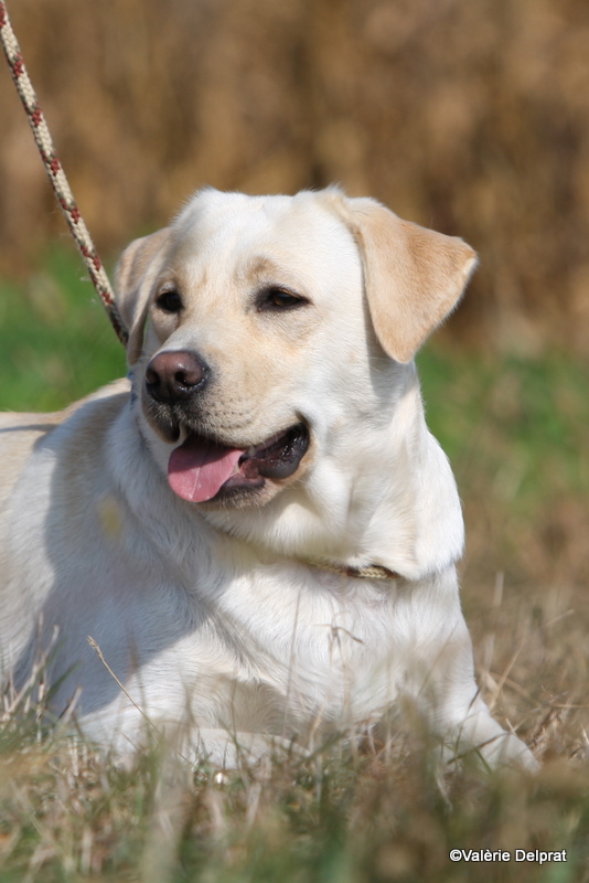 Field Erstein 09 (49).JPG